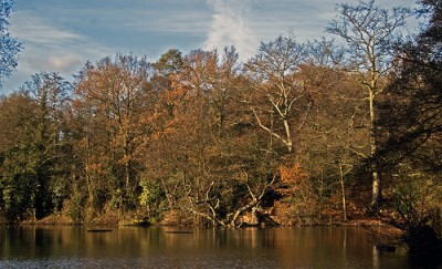 2084311997_cdab36e3f5.jpg (164.42 KiB) Viewed 9296 times 2084311997_cdab36e3f5.jpg