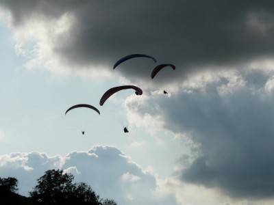 P1000841.JPG