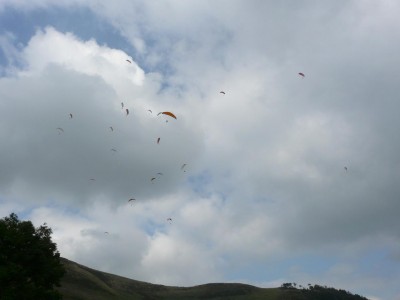 P1000717.JPG