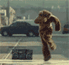 13940.gif