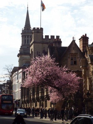 oxford.jpg