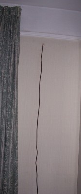 Picture 017.jpg