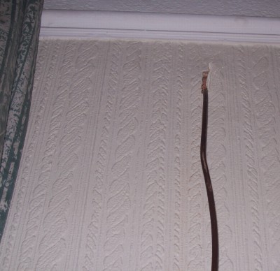 Picture 016.jpg
