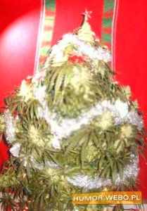 T_fun_zabawne_030457301045730_641.jpg