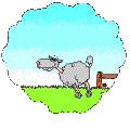 owcaaa.gif