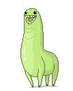 hasacz.gif