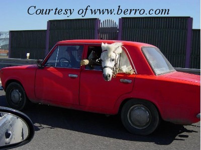 funny_ferrari_picture_horse_red_car.jpg