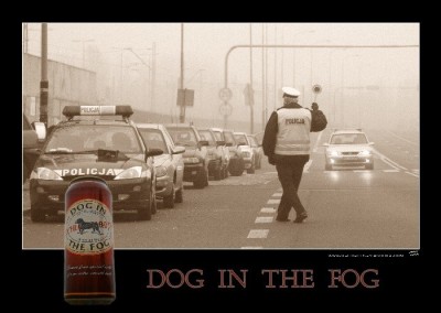 277610240-dog.jpg