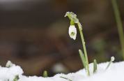 IMG_2739.JPG