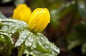 IMG_9390.JPG