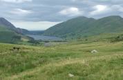 DSCF5568.JPG