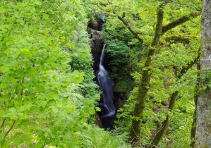 Aira Force – najchętniej odwiedzany wodospad w Lake District