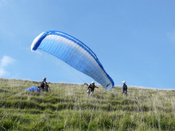 pala5_640x480.jpg