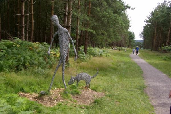 Cannock Chase Park