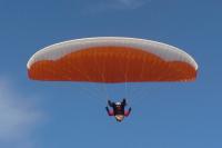 dsc00220.jpg