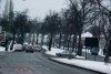 IMGP5951